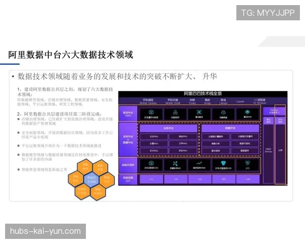 联盟技术中台对外数据产品化的合规边界，数据中台对外服务
